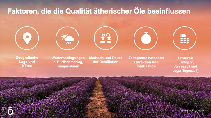 Qualität macht den Unterschied