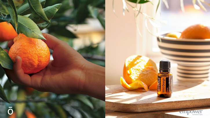 Was sind Essential Öle?